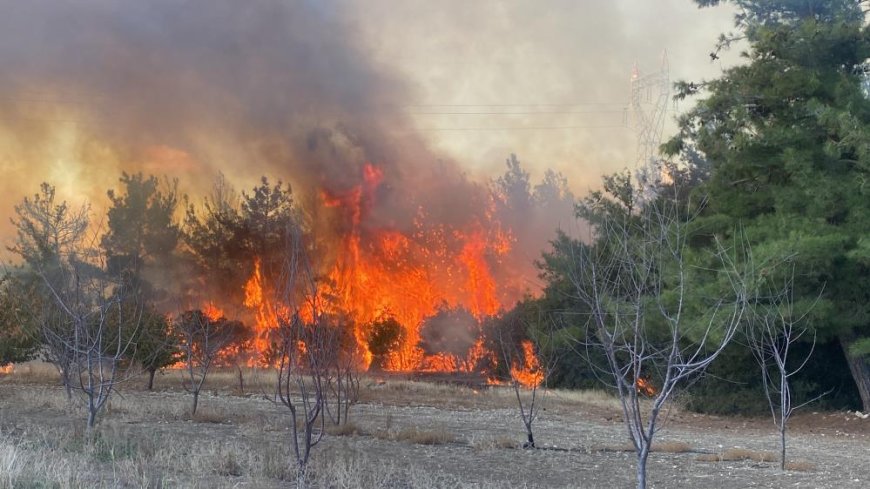 Çanakkale'deki orman yangınında 2 kişi gözaltına alındı