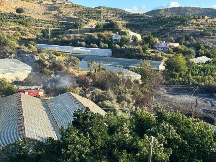 Alanya'da avokado bahçesinde yangın: 60 ağaç kül oldu