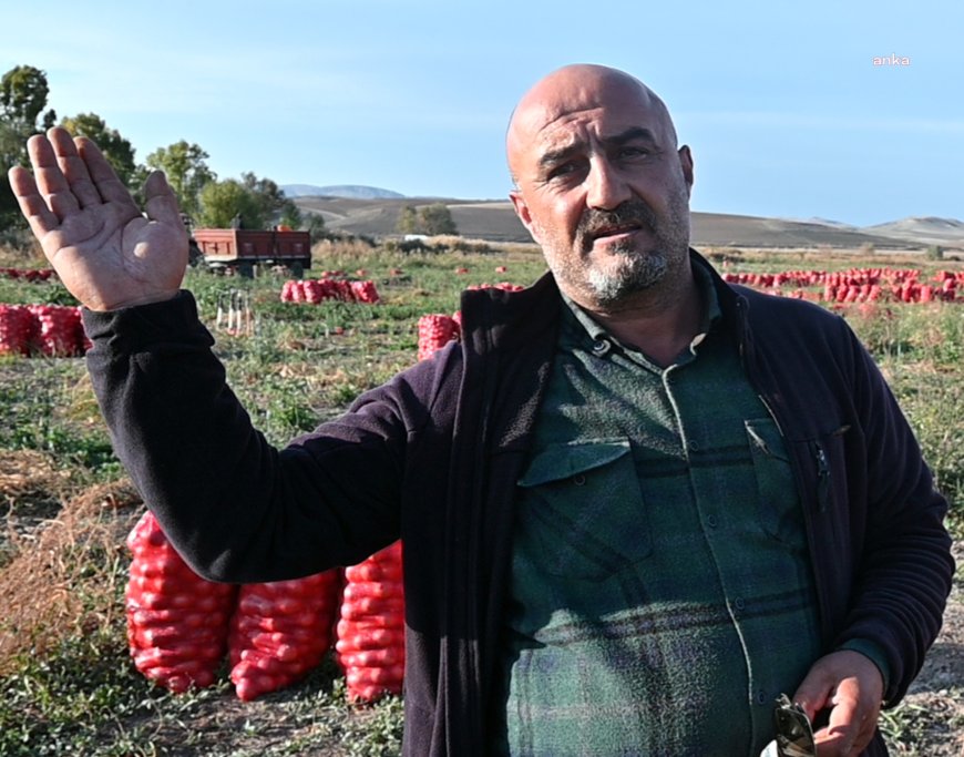 Yozgat’ta pancar sökümü devam ediyor... Çiftçiler, verim ve kalitenin düşük olması nedeniyle dertli