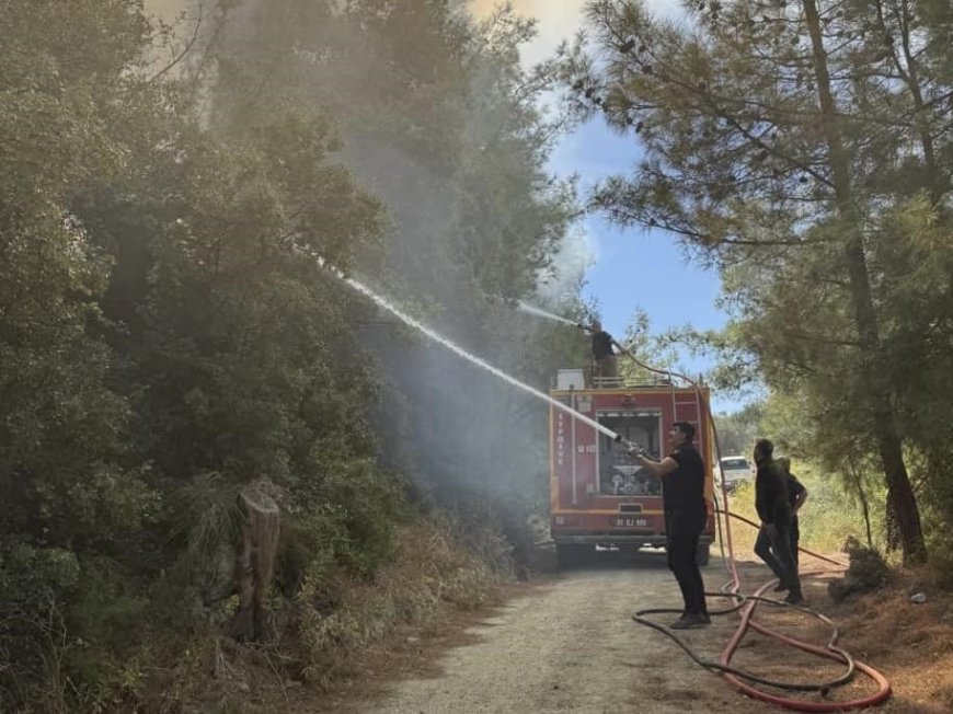 Antakya’da orman yangını kısa sürede söndürüldü