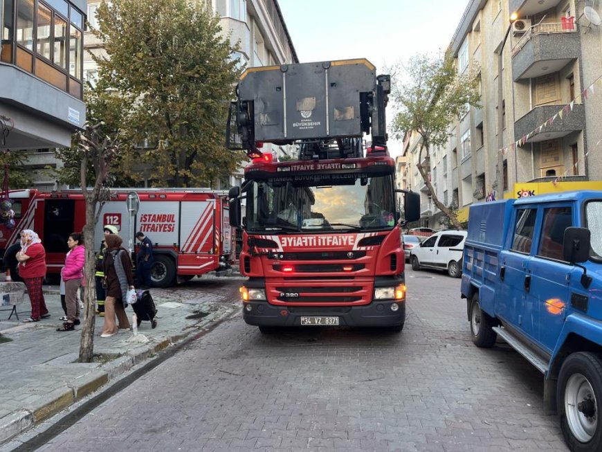 Avcılar'da yangın çıkan dairede mahsur kalan tavşanı itfaiye kurtardı