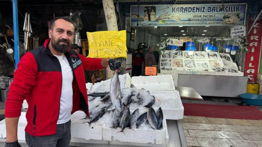 Kilis'te havaların serinlemesiyle balık satışları arttı