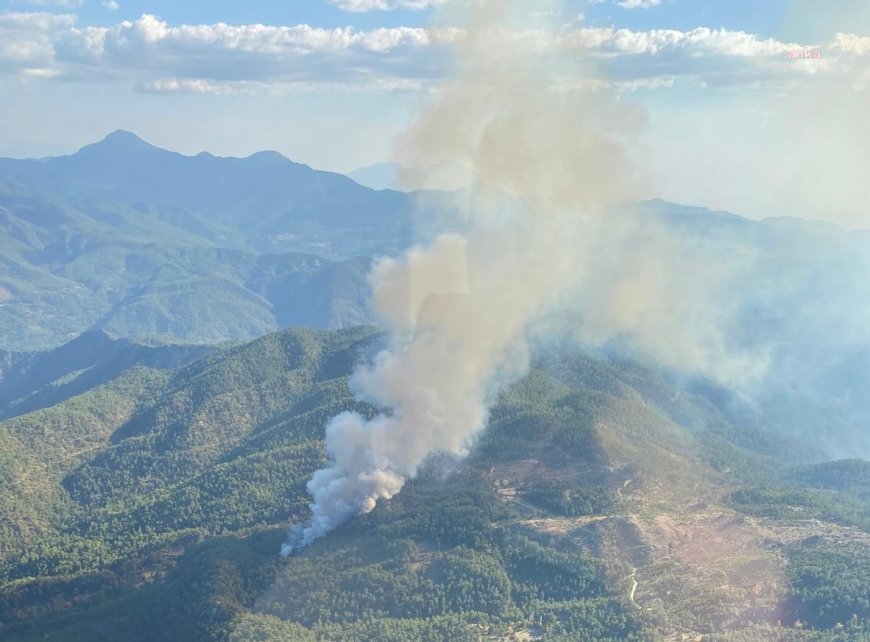 Muğla'nın Köyceğiz ilçesinde orman yangını çıktı