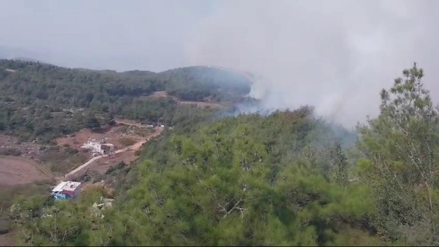 Hatay'da orman yangını