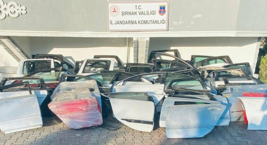 Şırnak'ta jandarma 9 milyon 120 bin TL'lik kaçakçılığı önledi