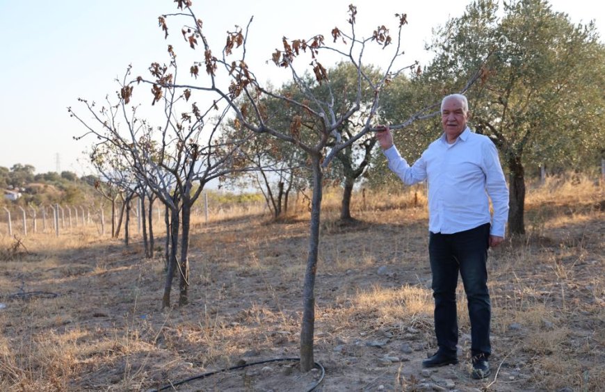 Ege’de kuraklık alarmı