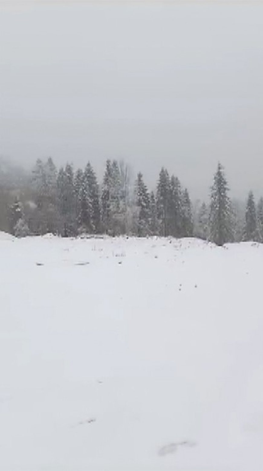 Bolu’da ortaokul öğrencisi bıçaklandı