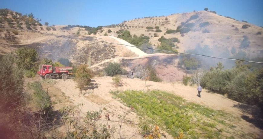 Alaşehir'de makilik alanda çıkan yangın büyümeden söndürüldü