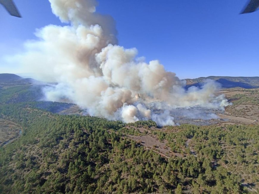 Bursa'da orman yangını: Havadan ve karadan müdahale devam ediyor