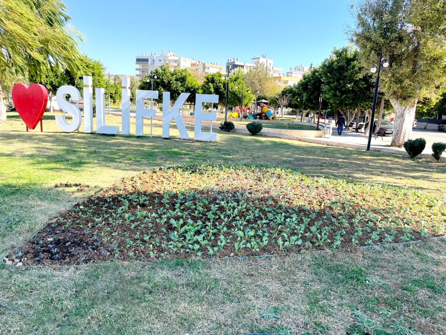 Silifke Belediyesi, ilçeyi seralarında ürettiği çiçeklerle süslüyor