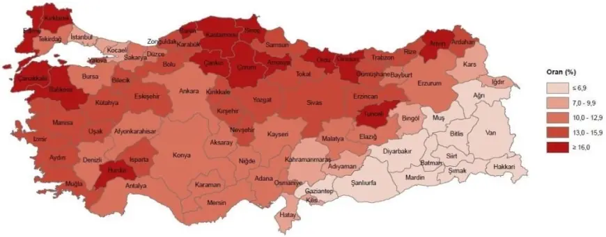 Eskişehir'deki yaşlı nüfusla ilgili istatistikler yayımlandı