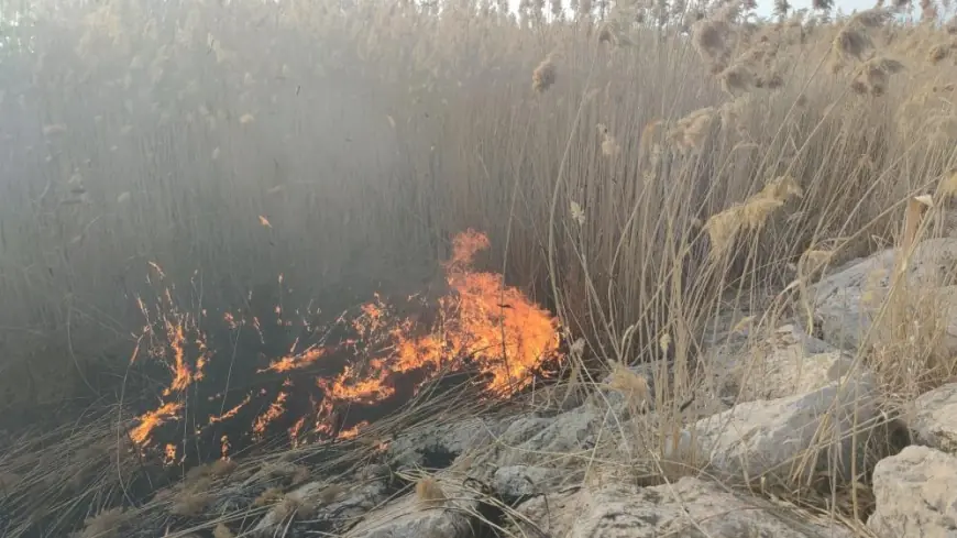 Van’da Sazlık Alanda Yangın