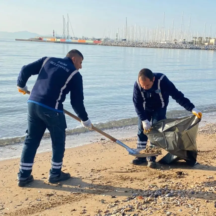 Didim'de Lodos'un izleri siliniyor